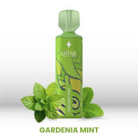 La Fume Aurora Vape - Gardenia Mint - Einweg E-Shisha