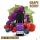 Elux Nikotinsalz Liquid 10ml - Grape Berry - 20mg Nikotin