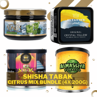 Shisha Tabak Bundle - Citrus Mix - 4x 200g