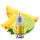 POD Salt XTRA Liquid Nikotinsalz 10ml - Pineapple Passion Lime