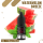POD Salt Liquid Nikotinsalz 10ml - Watermelon Breeze - 11mg Nikotin
