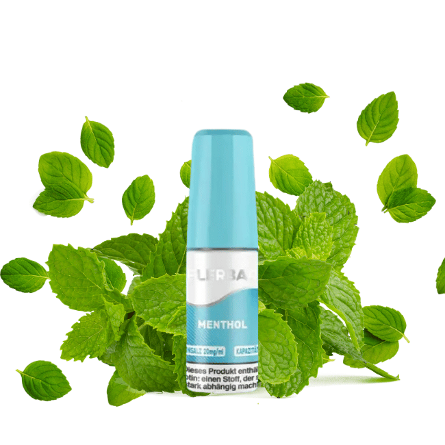 Flerbar Liquid Nikotinsalz 10ml - Menthol - 20mg Nikotin