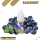 Vozol Liquid NicSalt 10ml - Blueberry - 20mg Nikotin