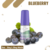 Flerbar Liquid Nikotinsalz 10ml - Blueberry