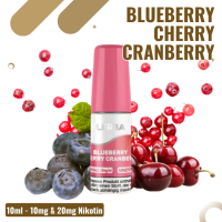 Flerbar Liquid Nikotinsalz 10ml - Blueberry Cherry Cranberry