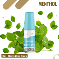 Flerbar Liquid Nikotinsalz 10ml - Menthol