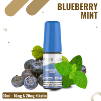 Flerbar Liquid Nikotinsalz 10ml - Blueberry Mint