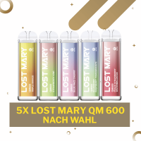 Lost Mary QM600 Vape Bundle - 5 Stück