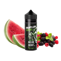Dampflion Aroma 10ml - INTENSE Melon Berry